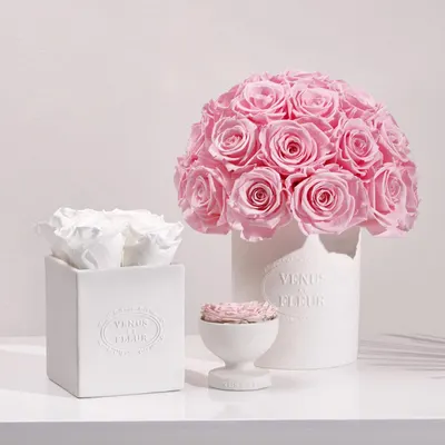 Secondary Images for VENUS ET FLEUR 25