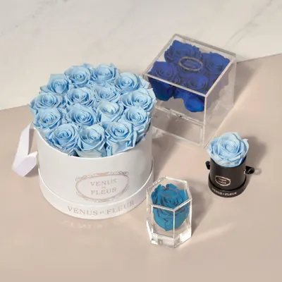 Lifestyle Images for VENUS ET FLEUR 27