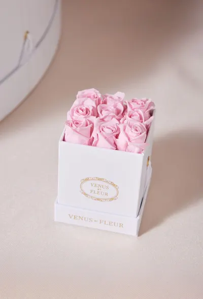 Secondary Images for VENUS ET FLEUR 32