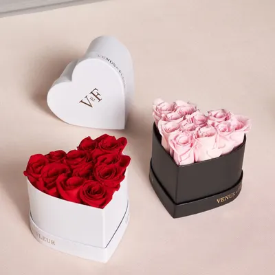 Secondary Images for VENUS ET FLEUR 37