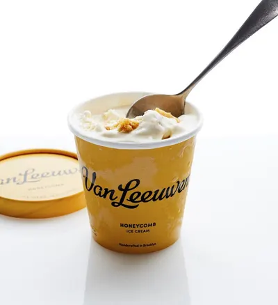 Product Main Images for Van Leeuwen Ice Cream 07
