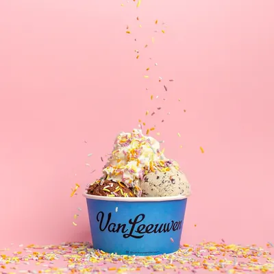 Secondary Images for Van Leeuwen Ice Cream 19