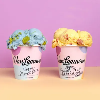 Lifestyle Images for Van Leeuwen Ice Cream 21