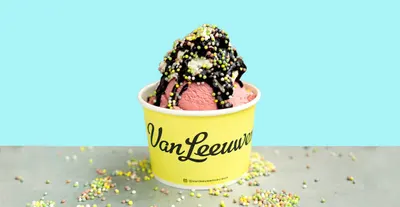 Amazon listing image for Van Leeuwen Ice Cream 24