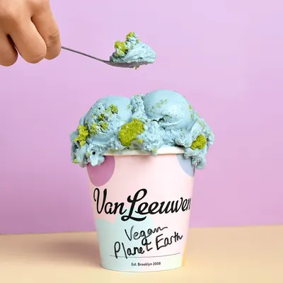 Lifestyle Images for Van Leeuwen Ice Cream 26