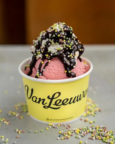 Lifestyle Images for Van Leeuwen Ice Cream 28