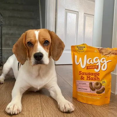 UGC Images for Wagg 3