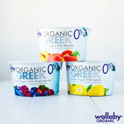 Product Main Images for Wallaby Yogurt 06