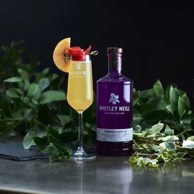 Lifestyle Images for Whitley Neill 12