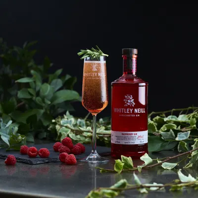 Lifestyle Images for Whitley Neill 16