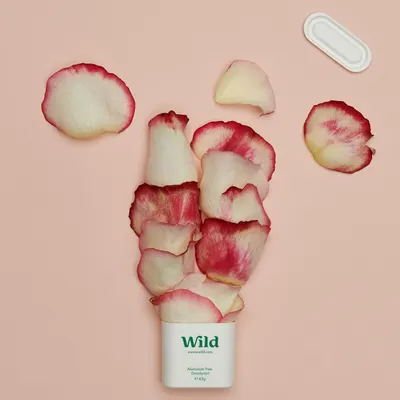 Secondary Images for Wild 12
