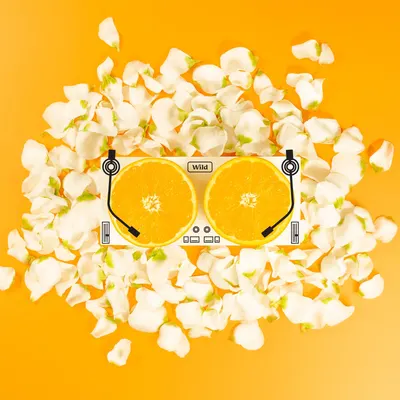 Secondary Images for Wild Deodorant 14