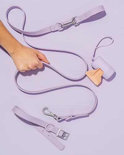 Secondary Images for Wild One 21
