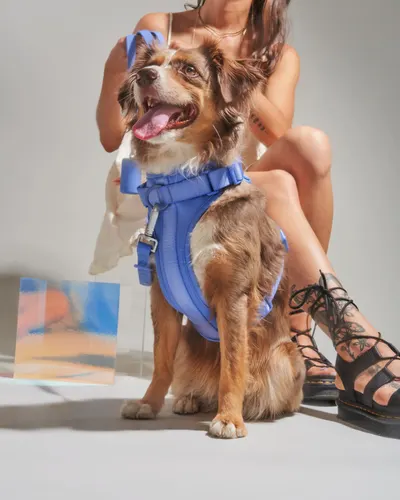 Lifestyle Images for Wild One 4