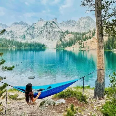 Lifestyle Images for Wise Owl 10