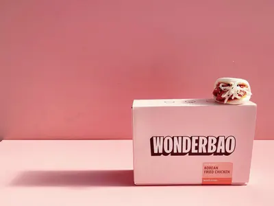 Secondary Images for Wonderbao 7