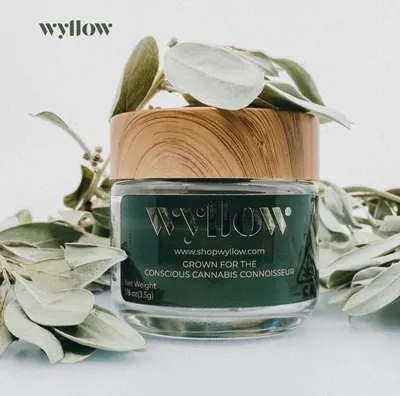Lifestyle Images for Wyllow 10