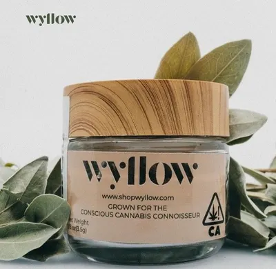 Lifestyle Images for Wyllow 11