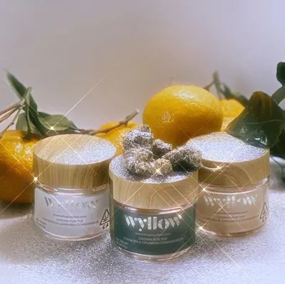 Lifestyle Images for Wyllow 4