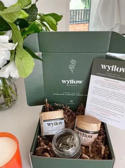 Secondary Images for Wyllow 6