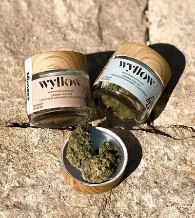 Lifestyle Images for Wyllow 7