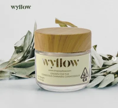 Lifestyle Images for Wyllow 9
