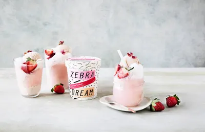Basic A+ Content for Zebra Dream 1