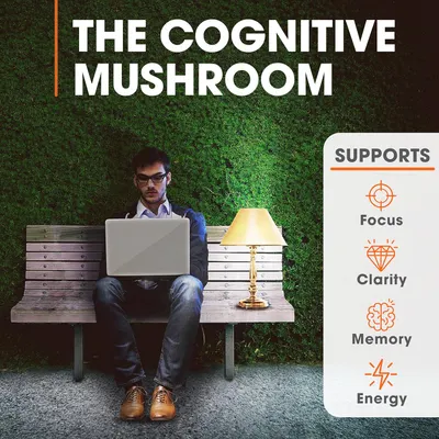 Secondary Images for Amazon.com: Genius Lions Mane Supplement Capsules