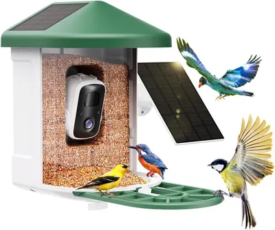 Secondary Images for Amazon.com : HARYMOR Bird Feeder with Camera with AI Identify Bird Species Solar Panel