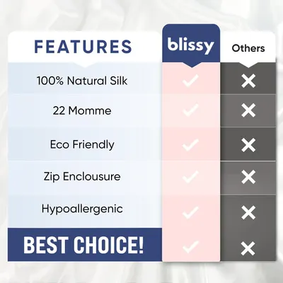 Secondary Images for Amazon.com: Blissy Silk Pillowcase