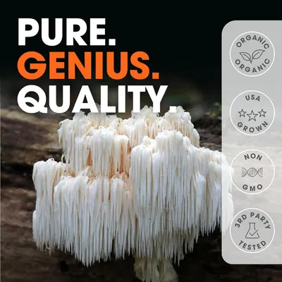 Secondary Images for Amazon.com: Genius Lions Mane Supplement Capsules