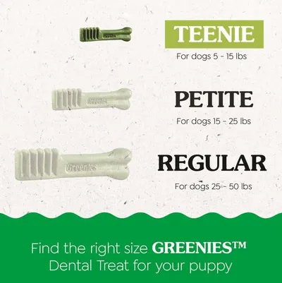 Secondary Images for Amazon.com: Greenies Puppy Teenie Size Natural Dental Dog Treats