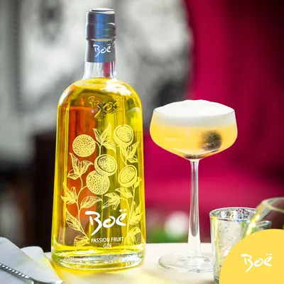 Lifestyle Images for house of boe 21