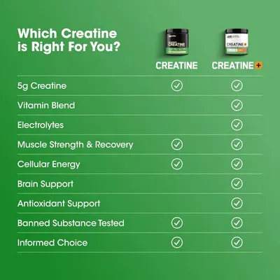 Secondary Images for Amazon.com: Optimum Nutrition Creatine Monohydrate Plus Powder