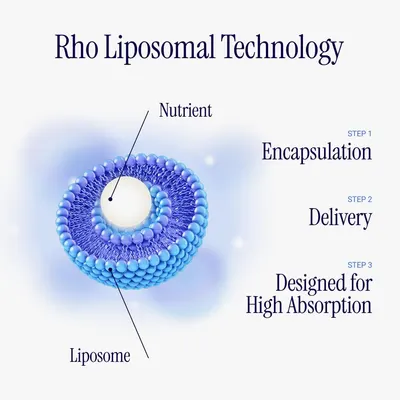 Explains the structure and components of Rho Liposomal Technology to demonstrate how it enhances nutrient absorption. Illustrates the step-by-step process of how the liposomal technology…
