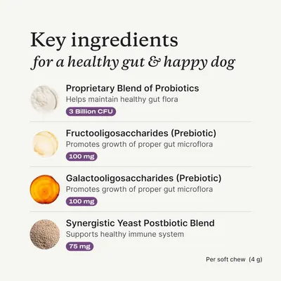 Highlights the key ingredients in the product that promote a healthy gut and immune system for dogs.