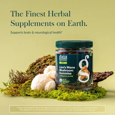 Secondary Images for Amazon.com: Gaia Herbs Lion's Mane Mushroom