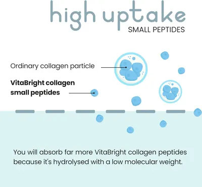 Secondary Images for Bovine Collagen Powder 500g