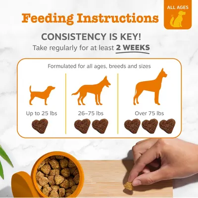 Secondary Images for Amazon.com: Zesty Paws Vet Strength Probiotics for Dogs