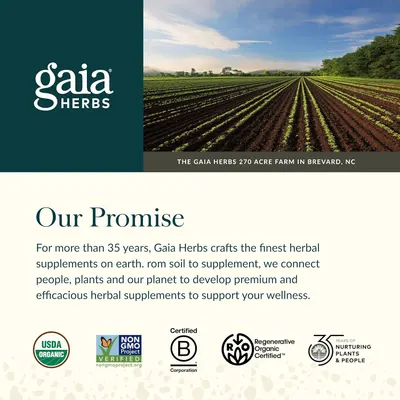 Secondary Images for Amazon.com: Gaia Herbs Lion's Mane Mushroom