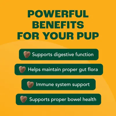 Highlights multiple health benefits of the product for dogs, focusing on digestive and immune system support.