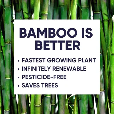 Secondary Images for Bamboo Facial Tissues