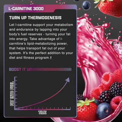 Secondary Images for Nutrex Research L-Carnitine 3000 (31 Servings