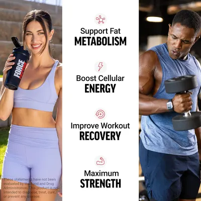 Secondary Images for Force Factor L-Carnitine Liquid 3000mg