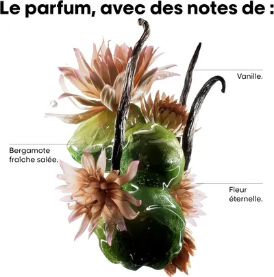 Secondary Images for L’Oréal Professionnel