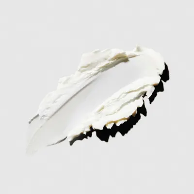 Highlights the product's realistic teeth and jaw structure, likely for an educational or anatomical model.