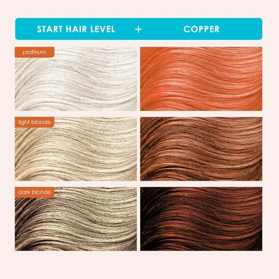 Guides customers in selecting the right hair color shade by showing visual examples of different blonde and copper tones.