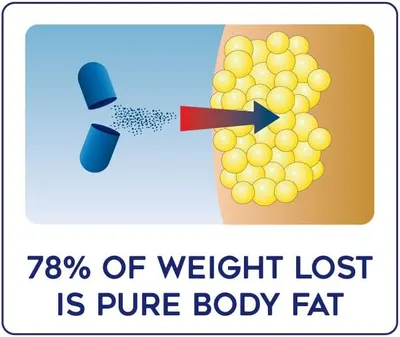 Communicates that the majority of weight lost using this product is body fat, emphasizing its effectiveness for fat loss. Highlights the product's ability to…