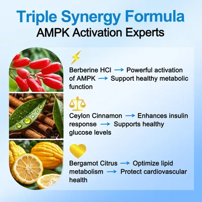 Highlights three key ingredients and their specific health benefits to showcase the product's comprehensive approach to metabolic and cardiovascular support.