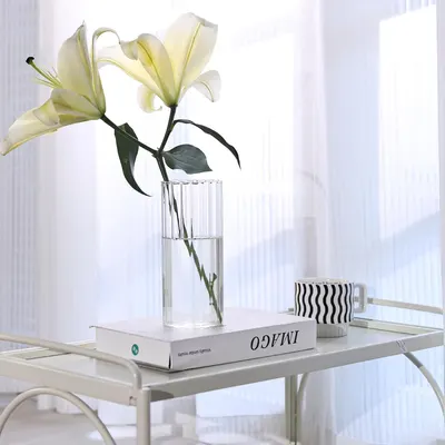 Shows the product in a real-world context to demonstrate how it enhances home aesthetics.